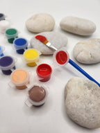 My Magic Rock Collection Box