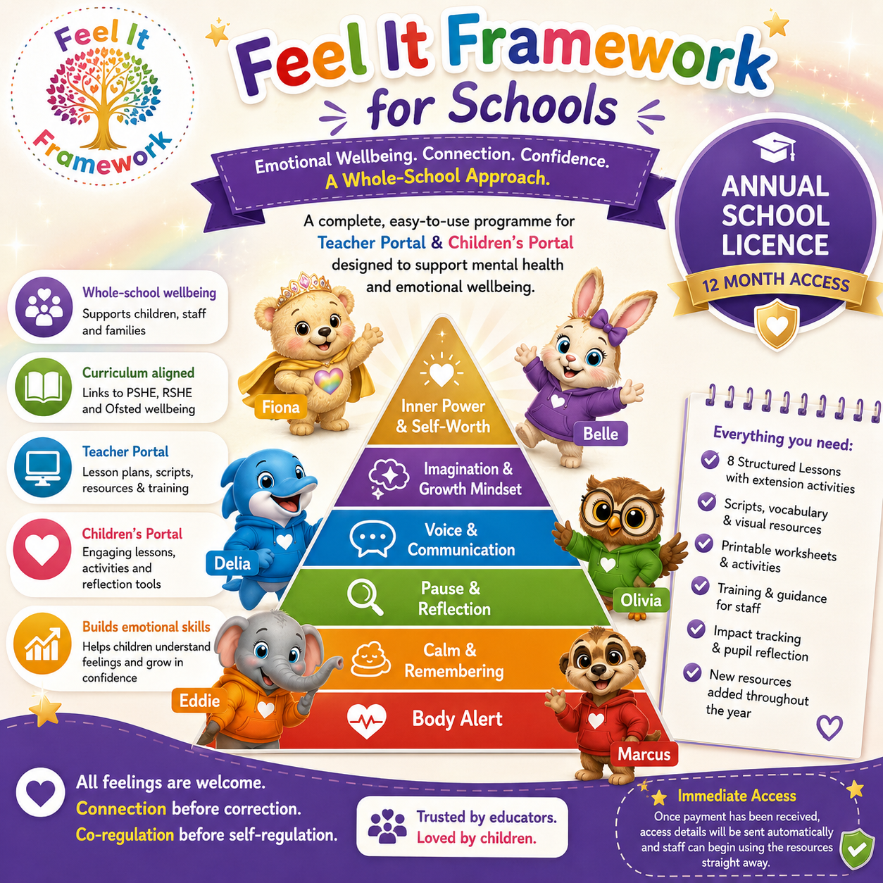 Feel It Framework Annual School Licence